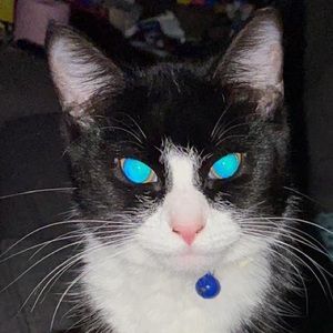 Meet your Posher, Gilberto